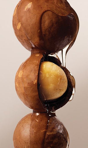 Macadamia Nut Oil