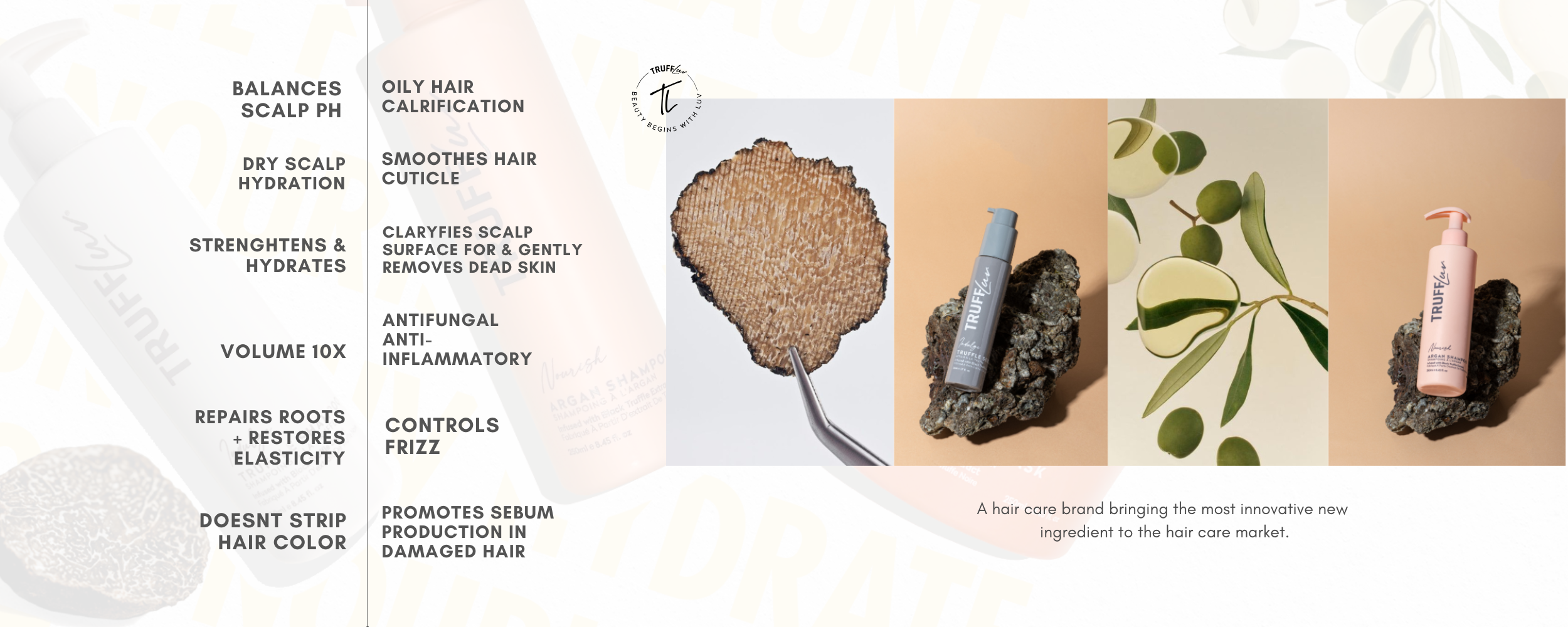 Product packaging with text and images of a hair care brand on a white background


