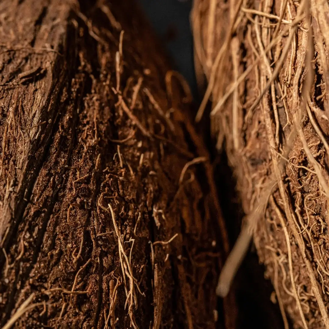 Raw coconut husk fiber texture - natural ingredient used in TruffLuv hair care formulas