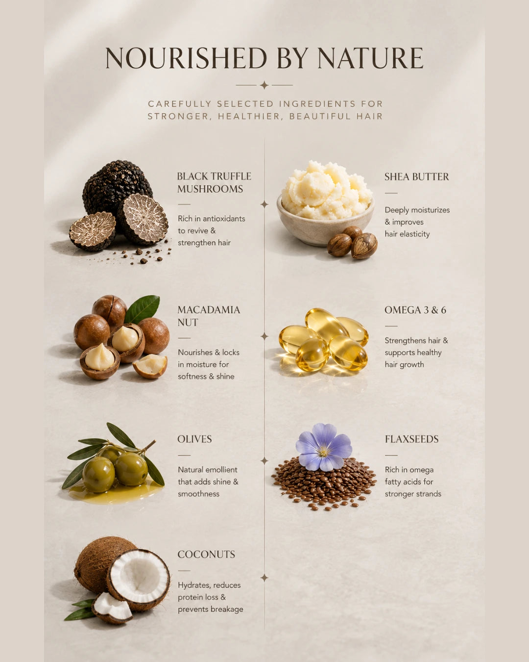 TruffLuv nourished by nature ingredients infographic - black truffle, shea butter, macadamia, omega 3 6, olives, flaxseeds and coconuts for stronger healthier hair
